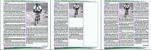    Layout Adjustment 