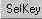  Set Key  Set Keys